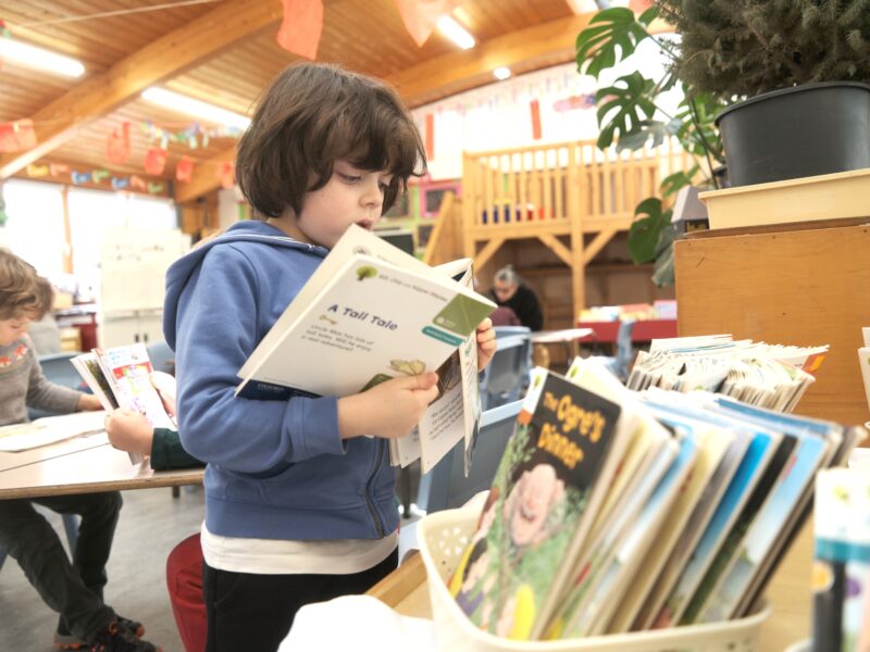 The Power of Positive Role Models in Education