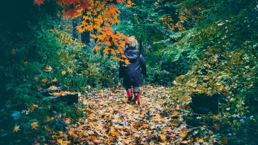 Enriching Outdoor Activities for Half Term 