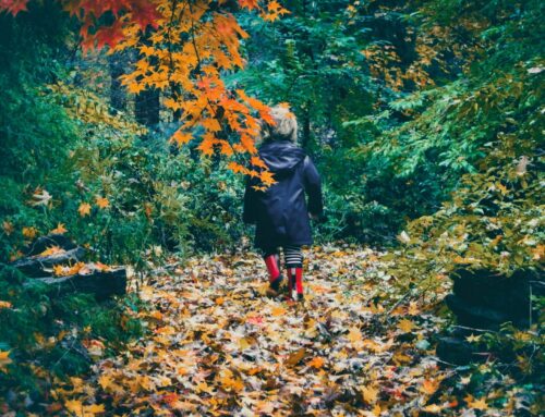 Enriching Outdoor Activities for Half Term 