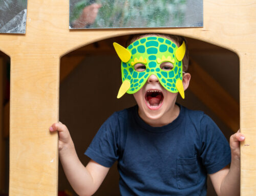 The Power of Play in Education