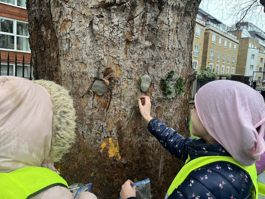 What Is Forest School? Learning Through Nature at Dallington