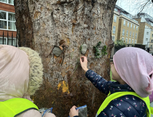 What Is Forest School? Learning Through Nature at Dallington